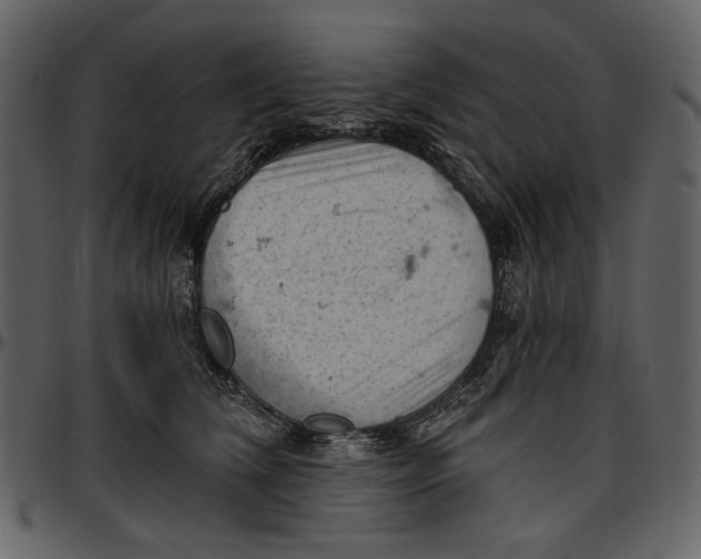 X0000096950612200802291058