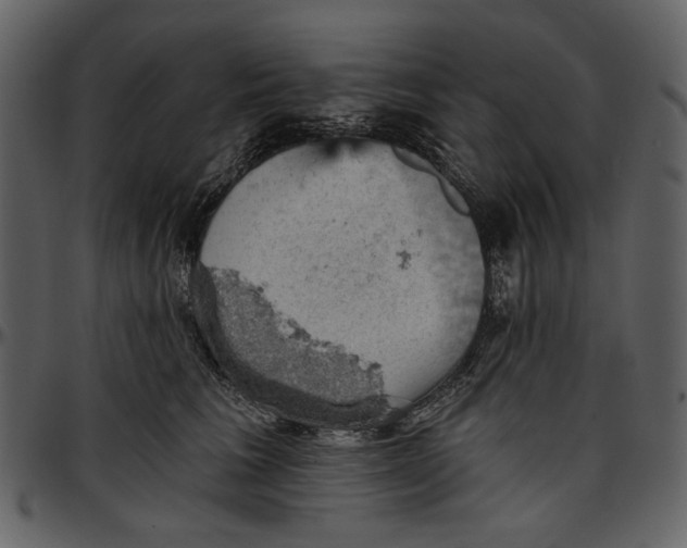 X0000096950613200802291058