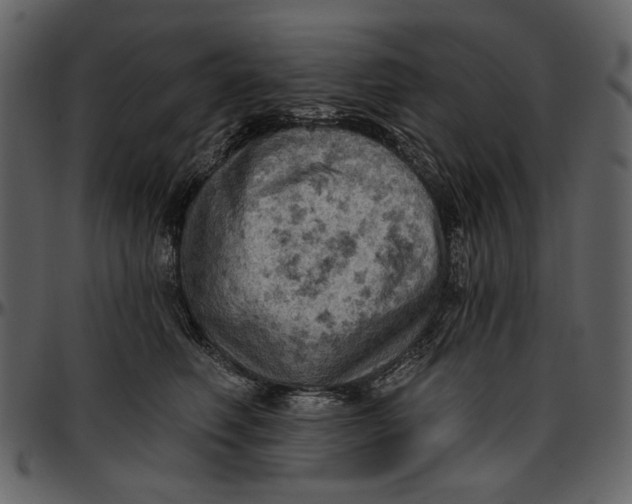 X0000096950614200802291058