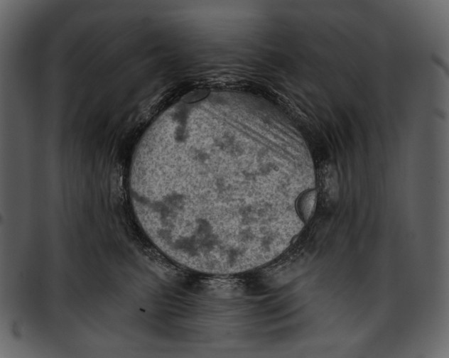 X0000096950615200802291058