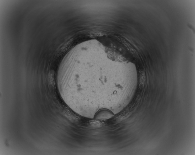 X0000096950616200802291058