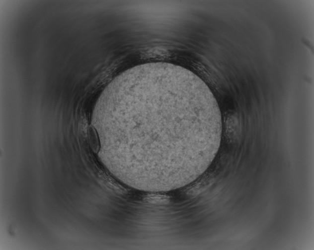 X0000096950617200802291058