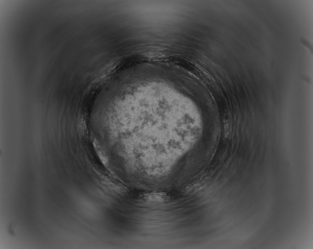 X0000096950618200802291058