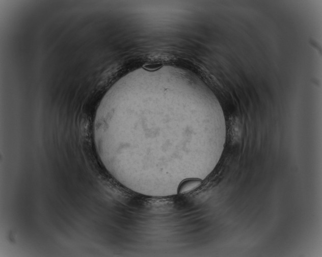 X0000096950619200802291058