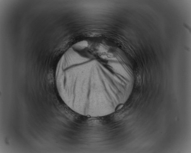 X0000096950620200802291058