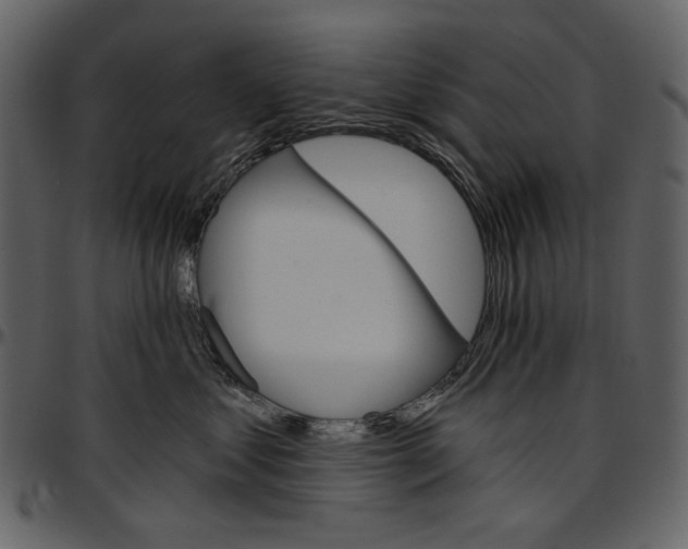 X0000096950621200802291058