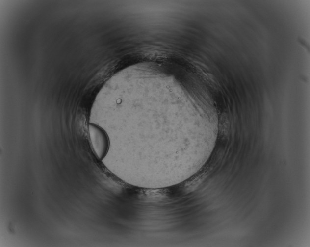 X0000096950622200802291058