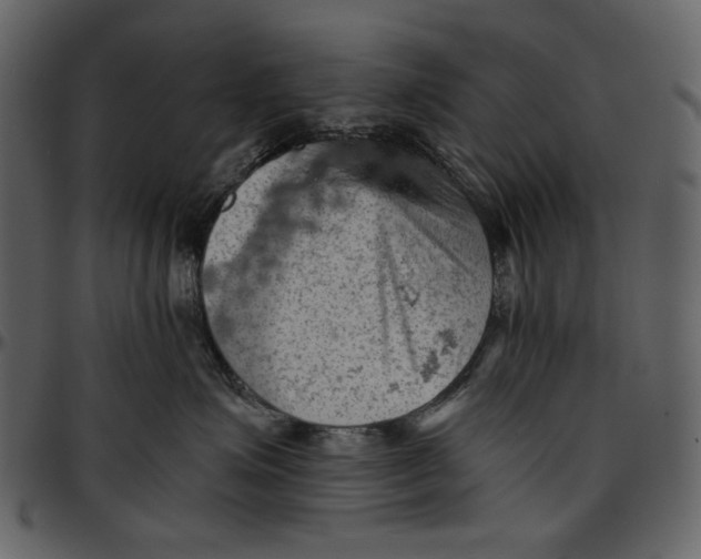 X0000096950623200802291058