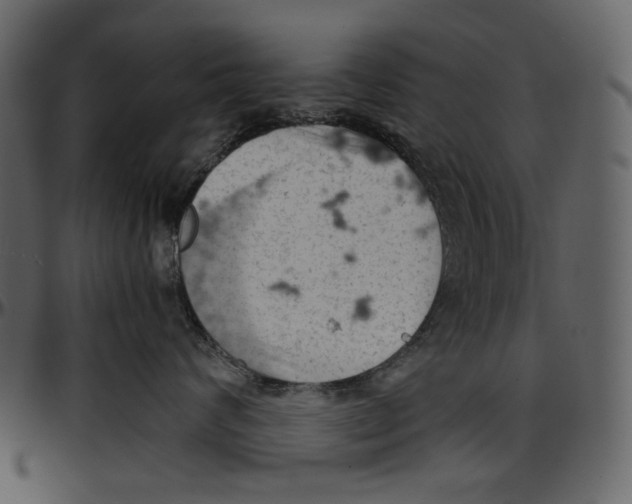 X0000096950624200802291058