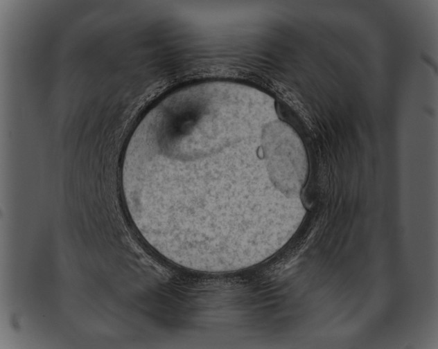 X0000096950625200802291057