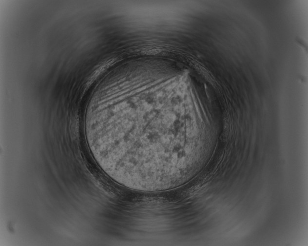 X0000096950626200802291057