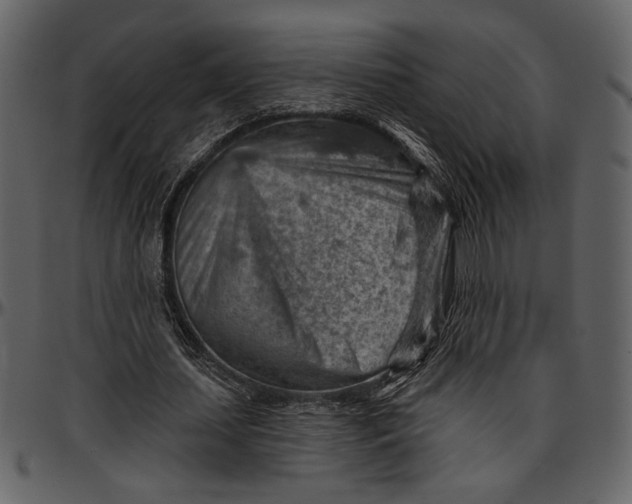 X0000096950627200802291057