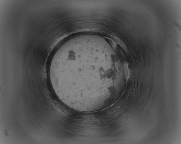 X0000096950628200802291057