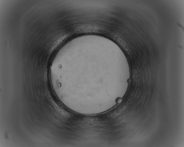 X0000096950629200802291057