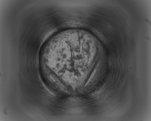 X0000096950630200802291057