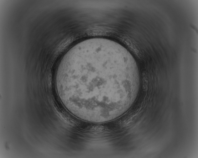 X0000096950631200802291057