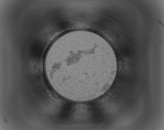 X0000096950632200802291057