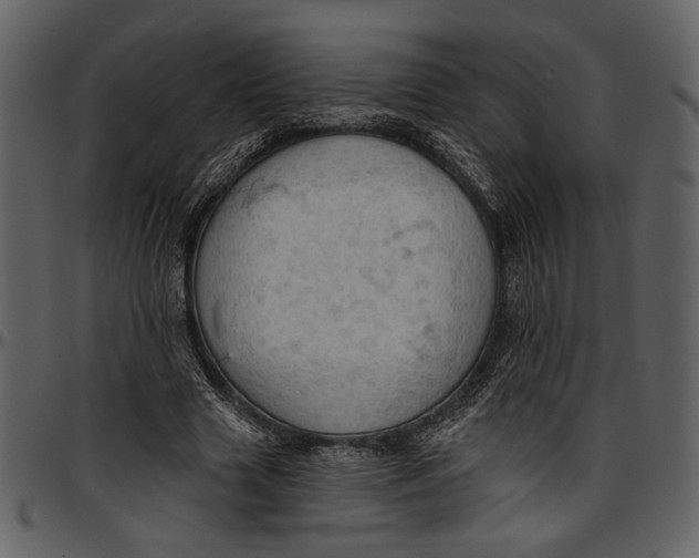 X0000096950633200802291057