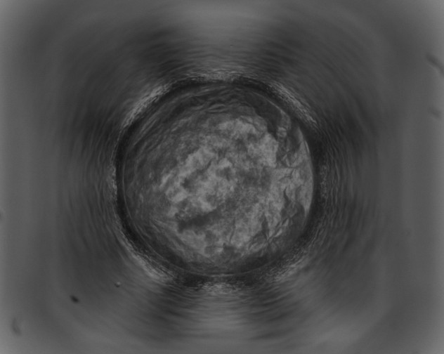 X0000096950634200802291057