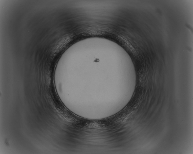 X0000096950635200802291057