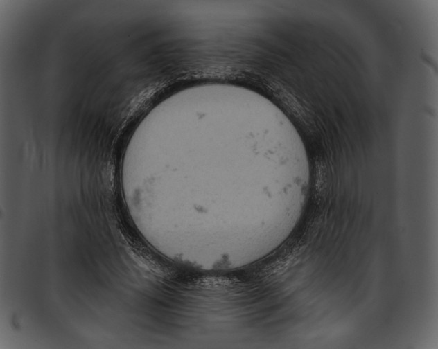 X0000096950636200802291057