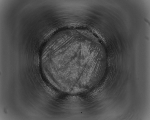 X0000096950637200802291057