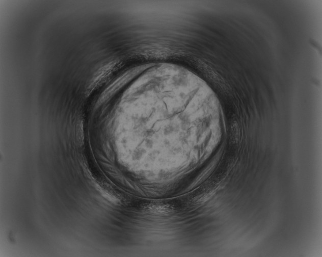 X0000096950638200802291057