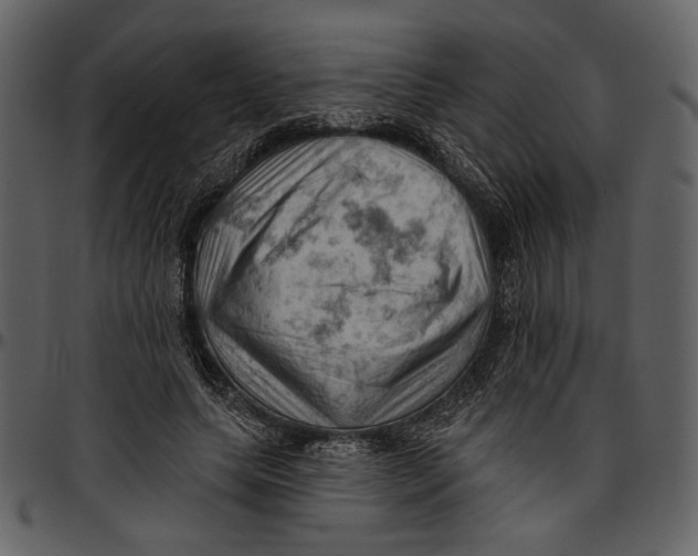 X0000096950639200802291057