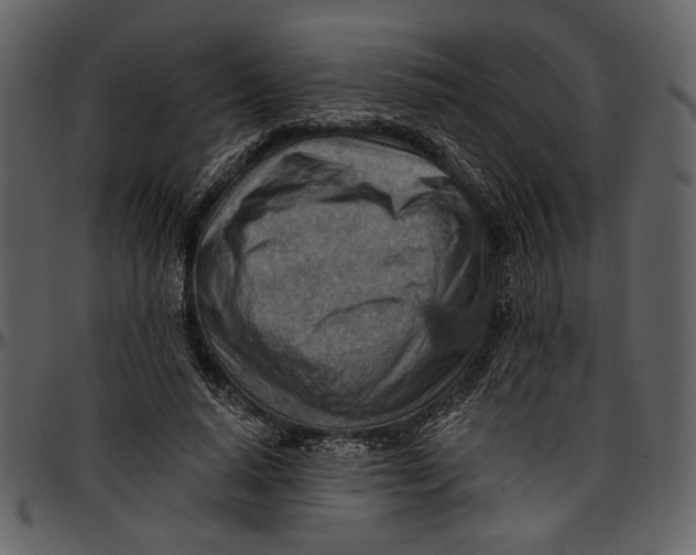 X0000096950640200802291057