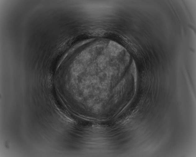 X0000096950641200802291057