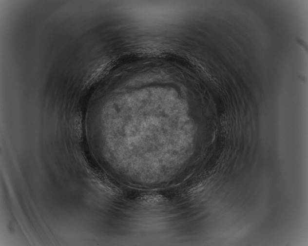 X0000096950642200802291057