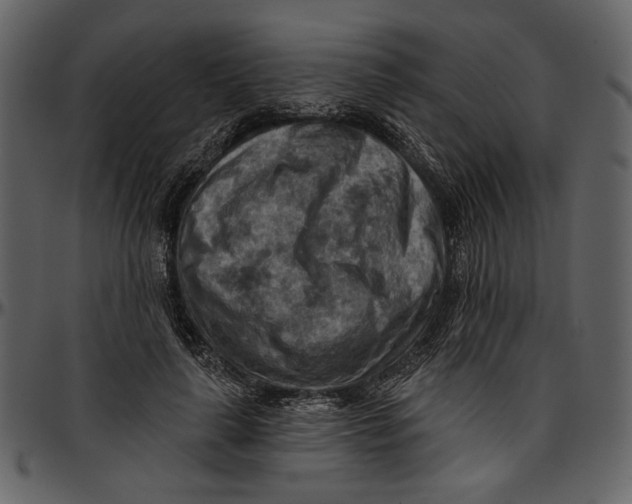 X0000096950643200802291057