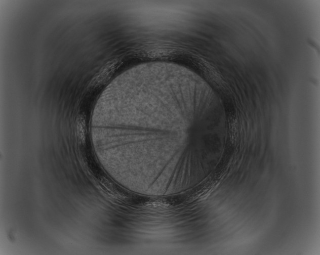 X0000096950644200802291057