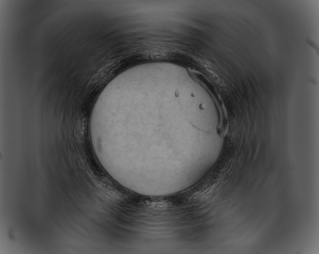 X0000096950645200802291057