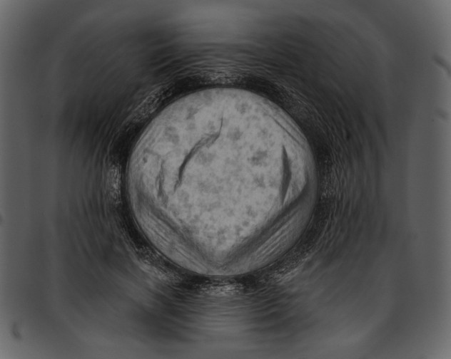 X0000096950646200802291057