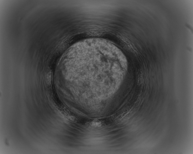 X0000096950647200802291057