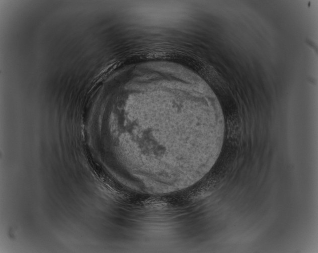 X0000096950648200802291057