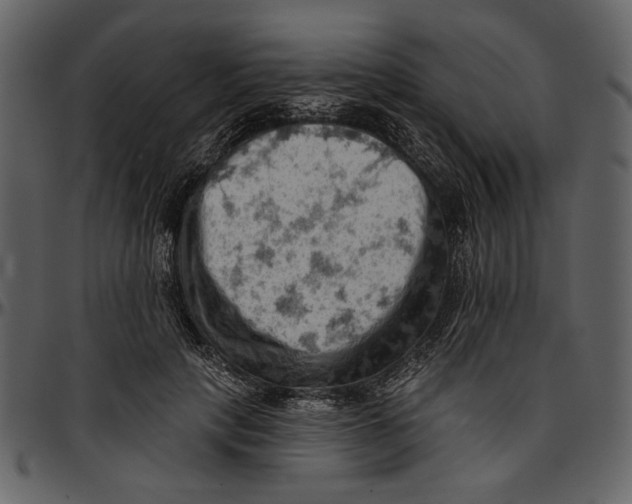 X0000096950649200802291057