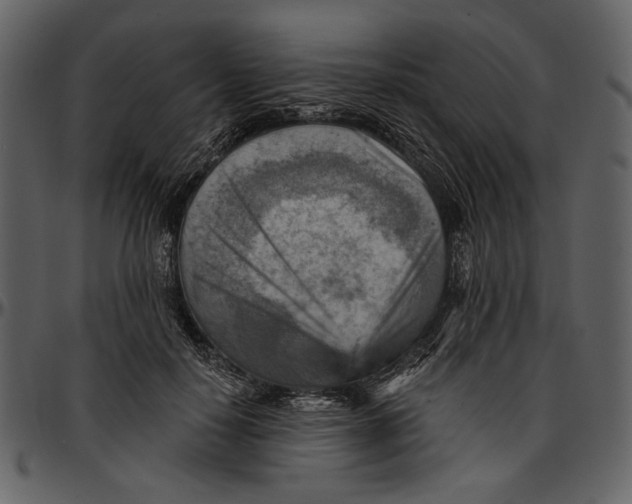 X0000096950650200802291057