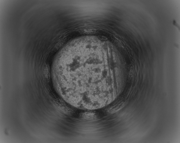 X0000096950651200802291057