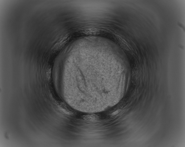 X0000096950652200802291057