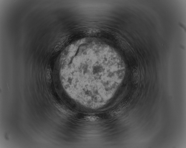 X0000096950654200802291057