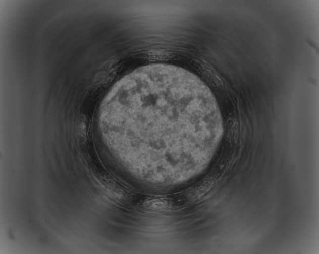 X0000096950655200802291057