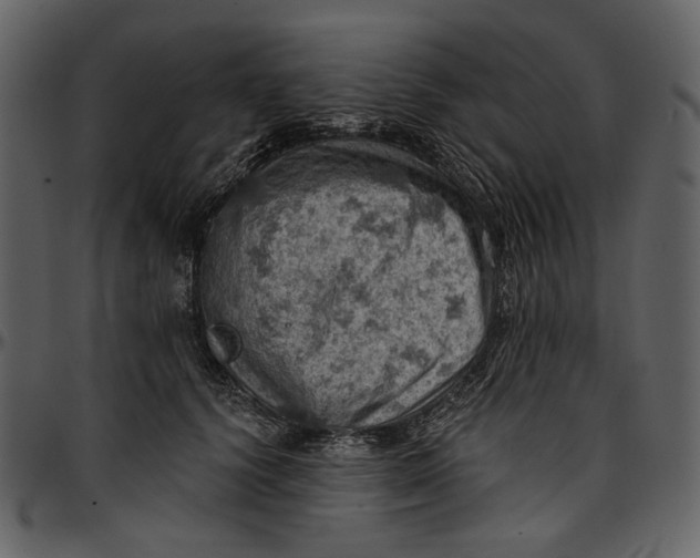 X0000096950656200802291058