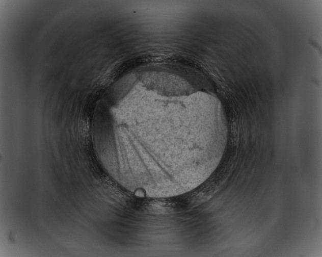 X0000096950657200802291058