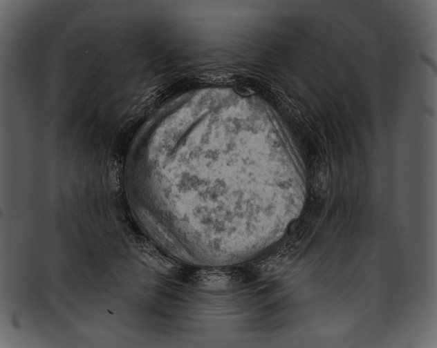 X0000096950658200802291058