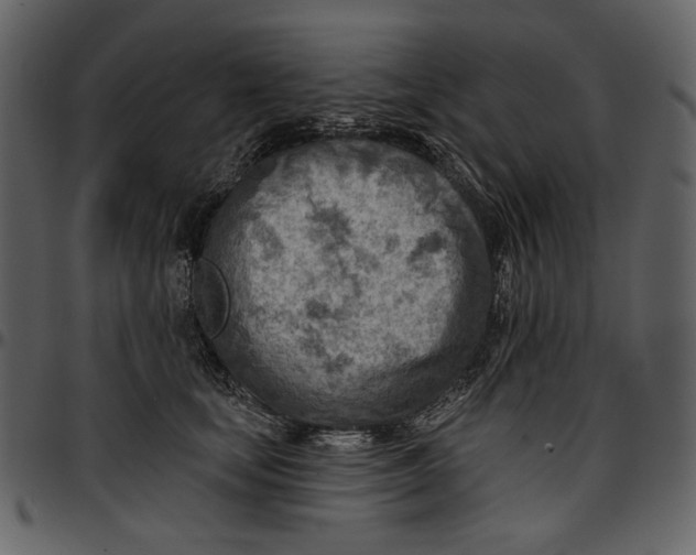 X0000096950659200802291058