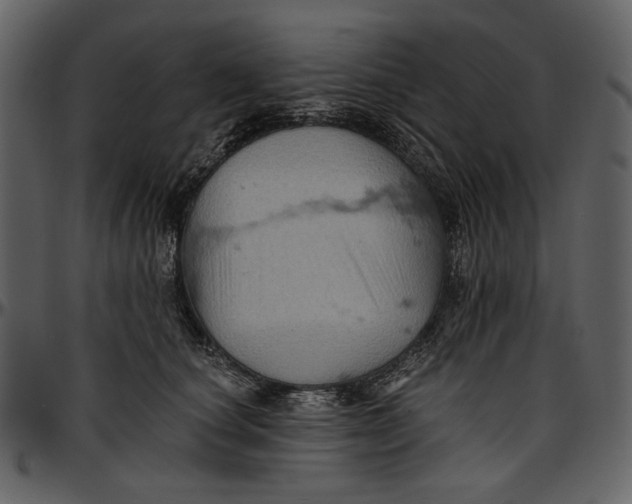 X0000096950660200802291058