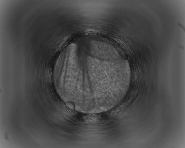 X0000096950661200802291058