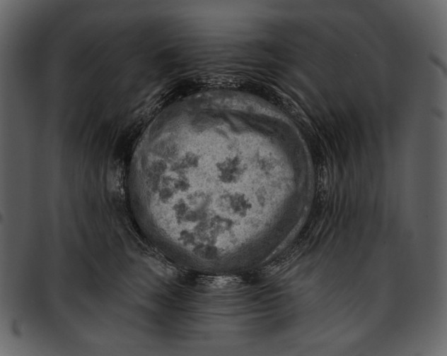 X0000096950663200802291058